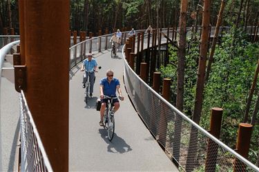 Okra Koersel fietst door de bomen - Beringen