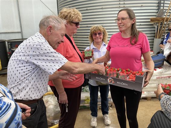 OKRA Koersel smult van lekkere aardbeien - Beringen