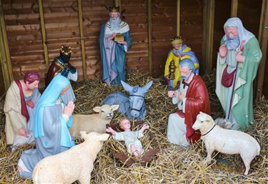 Okra in Brigidahuis bij Koersel Kerst - Beringen