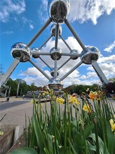 Okra op bezoek in Brussel - Lommel