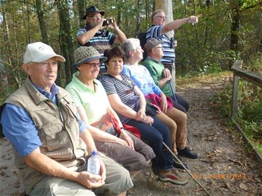 OKRA trok naar Lozerheide - Hamont-Achel