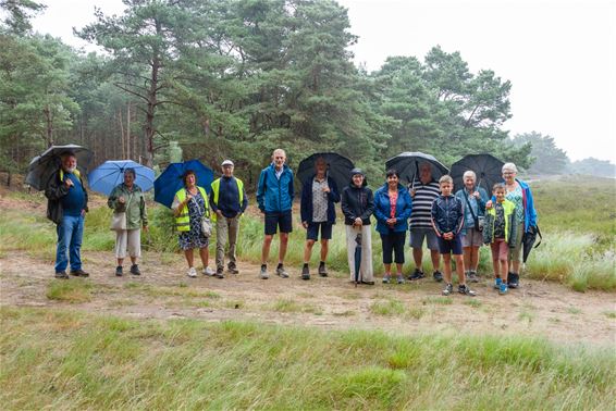 OKRA vierde zomer ondanks de regen - Lommel