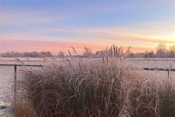 Omdat het zo mooi is - Lommel