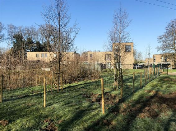 Omheining rond gevaarlijke wadi - Beringen