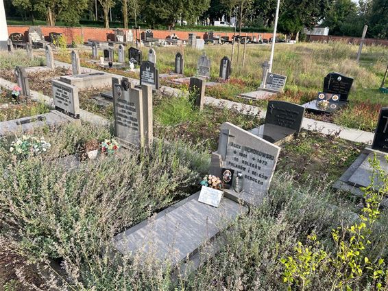 Onderhoud kerkhoven roept vragen op - Beringen