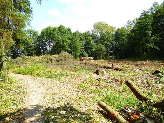 Ondertussen, aan de A-beek... - Meeuwen-Gruitrode