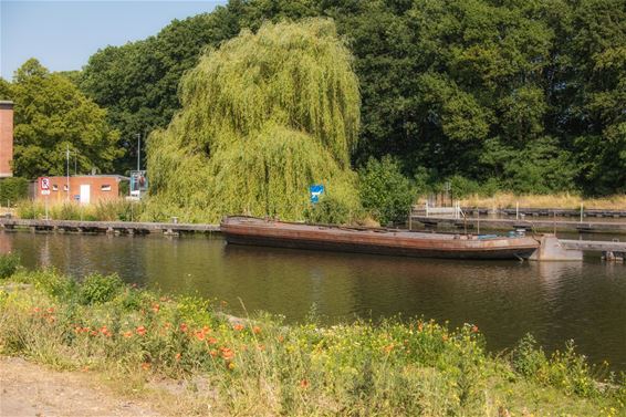 Ondertussen, aan de Blauwe Kei... - Lommel