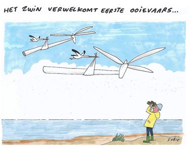 Ondertussen, aan de kust...