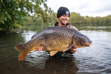 Ondertussen aan de Paalse Plas... - Beringen