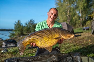 Ondertussen, aan de Paalse Plas... - Beringen