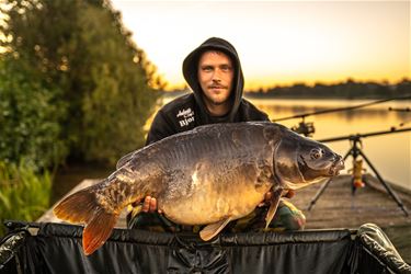 Ondertussen aan de Paalse Plas... - Beringen