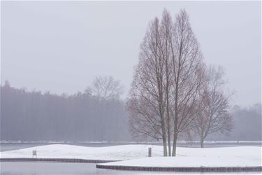 Ondertussen, aan de Paalse Plas... - Beringen