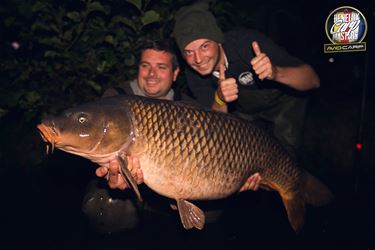 Ondertussen, aan de Paalse Plas - Beringen