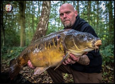 Ondertussen, aan de Paalse Plas... - Beringen