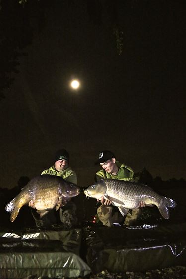 Ondertussen, aan de Paalse Plas... - Beringen