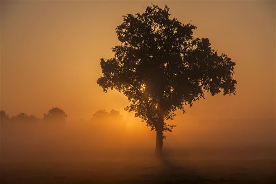 Ondertussen, aan de Romeinse Dijk... - Neerpelt