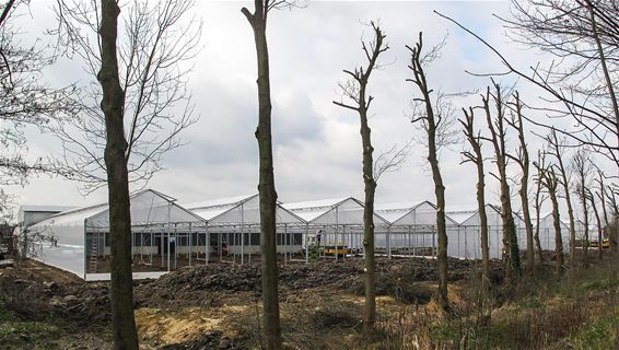 Ondertussen, aan de St.-Antoniusweg... - Neerpelt