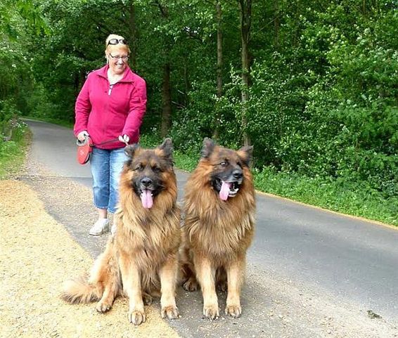 Ondertussen, aan het Broekven... - Meeuwen-Gruitrode