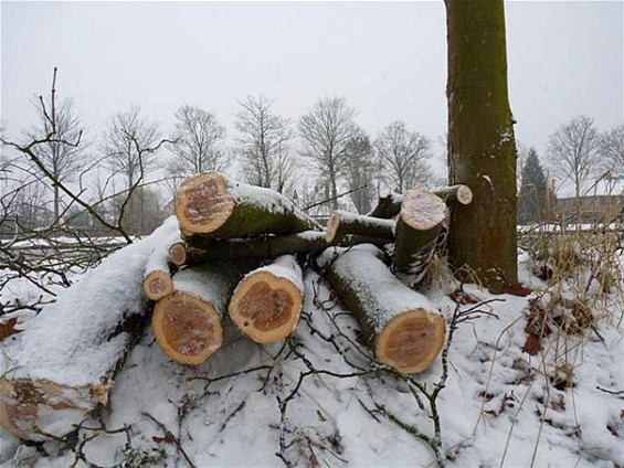 Ondertussen, aan het kanaal... - Neerpelt