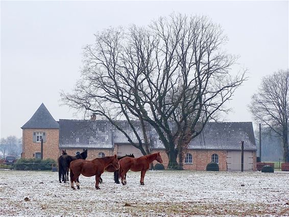 Ondertussen, bij de Kloosterhoef... - Peer