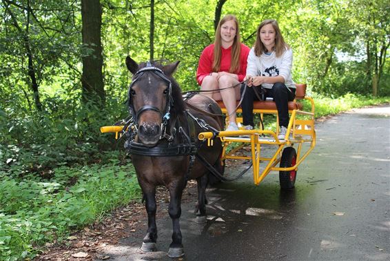 Ondertussen, bij het Hageven... - Neerpelt