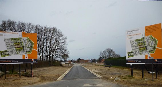 Ondertussen, in de Beukenbosstraat... - Peer