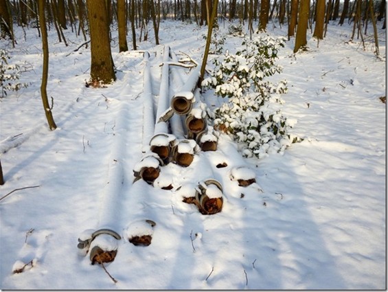 Ondertussen, in de Donderslagse bossen... - Meeuwen-Gruitrode