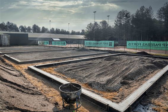 Ondertussen, in de Kolonie... - Lommel