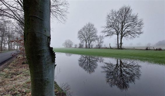 Ondertussen, in de Ruiterstraat... - Hamont-Achel