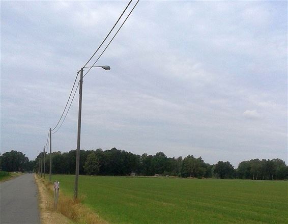 Ondertussen, in de Schansstraat... - Pelt