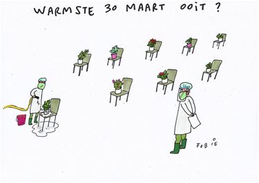 Ondertussen, in de vaccinatiecentra...