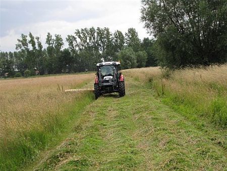 Ondertussen, in de vloeiweiden... - Lommel