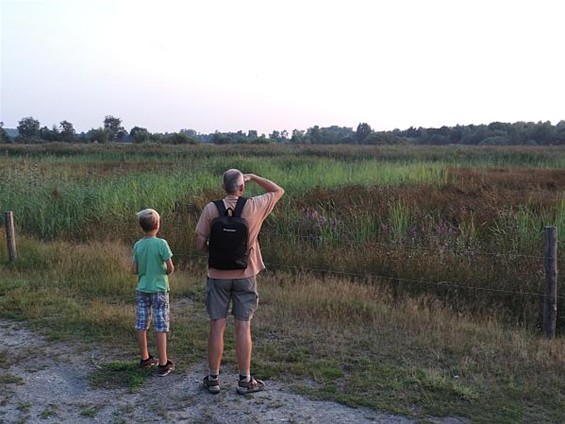 Ondertussen, in het Hageven... - Neerpelt