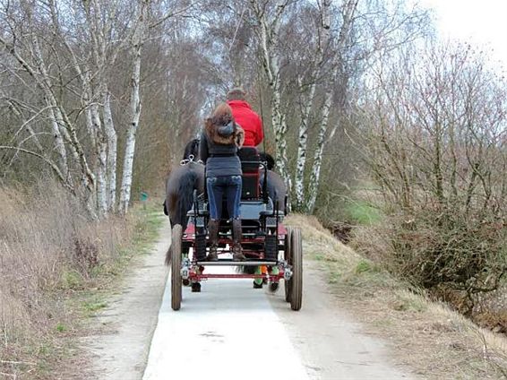 Ondertussen, in het Hageven... - Neerpelt