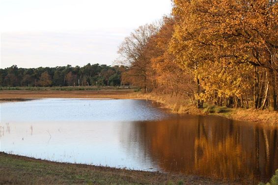 Ondertussen, in het Hageven... - Neerpelt