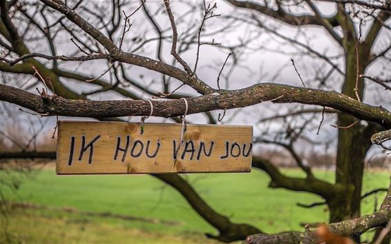 Ondertussen, in het Hageven... - Neerpelt