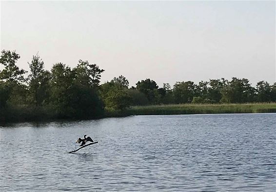 Ondertussen, in het Hageven... - Neerpelt