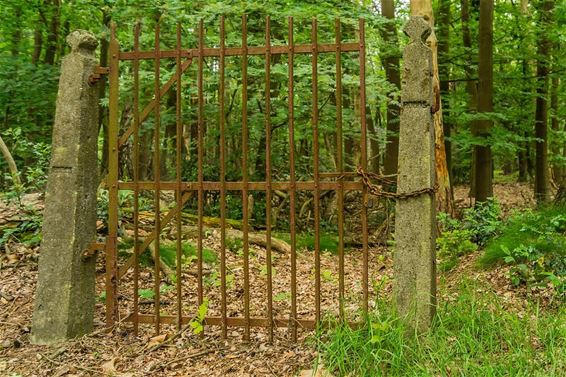 Ondertussen, in het Hobos... - Overpelt