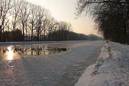 Ondertussen, in het kanaal... - Neerpelt