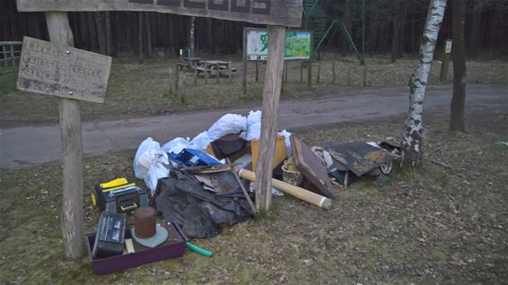 Ondertussen, in het Kolisbos... - Neerpelt