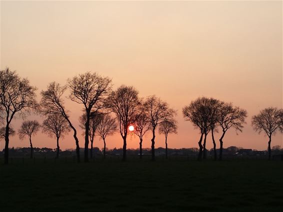 Ondertussen, in het Lindel... - Overpelt