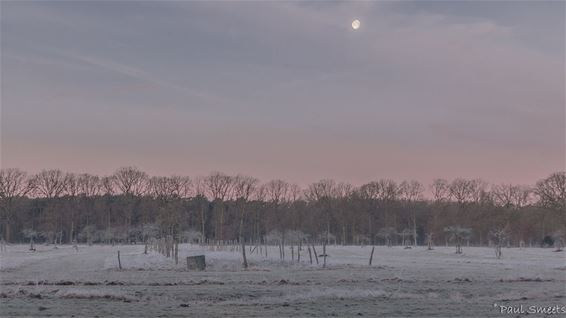 Ondertussen, in het Lindel - Pelt