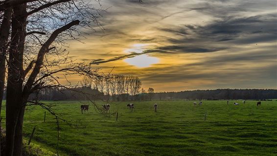 Ondertussen, in Lindel-Hoeven - Overpelt