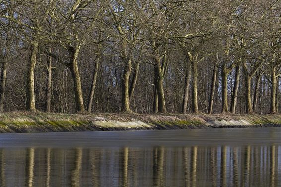 Ondertussen, langs het kanaal... - Neerpelt