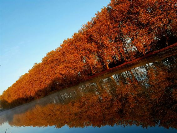 Ondertussen, langs het kanaal... - Neerpelt