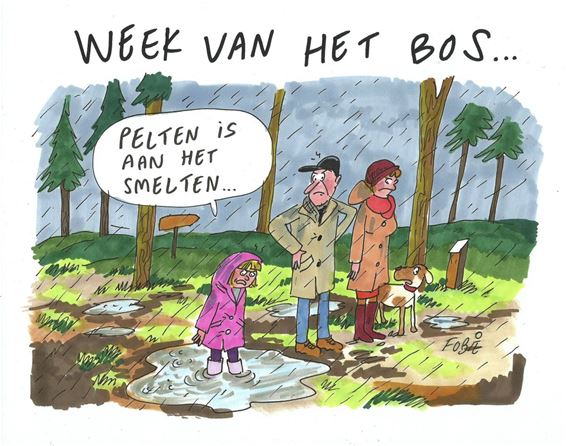 Ondertussen, na de jurering van zaterdag... - Pelt