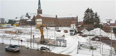 Ondertussen op de collegesite... - Beringen