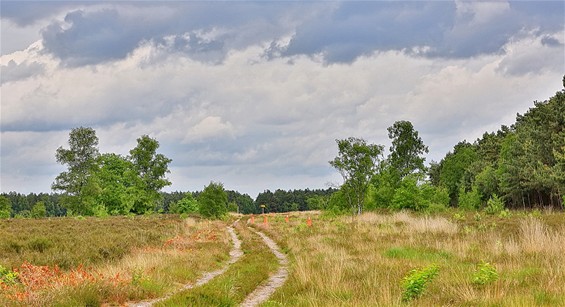 Ondertussen op Gelderhorsten - Lommel