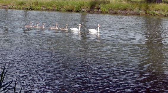 Ondertussen, op het kanaal... - Bocholt