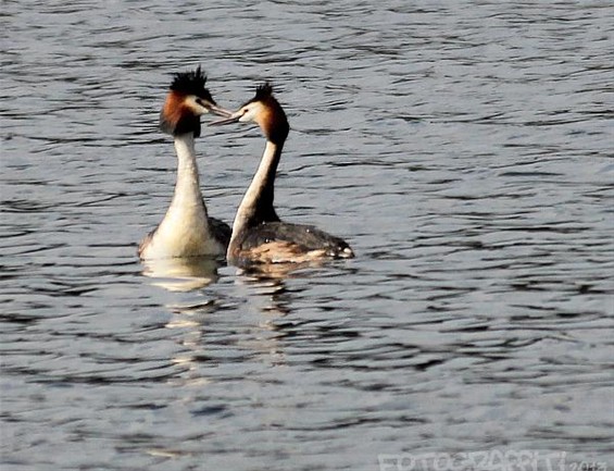 Ondertussen, op het kanaal... - Lommel